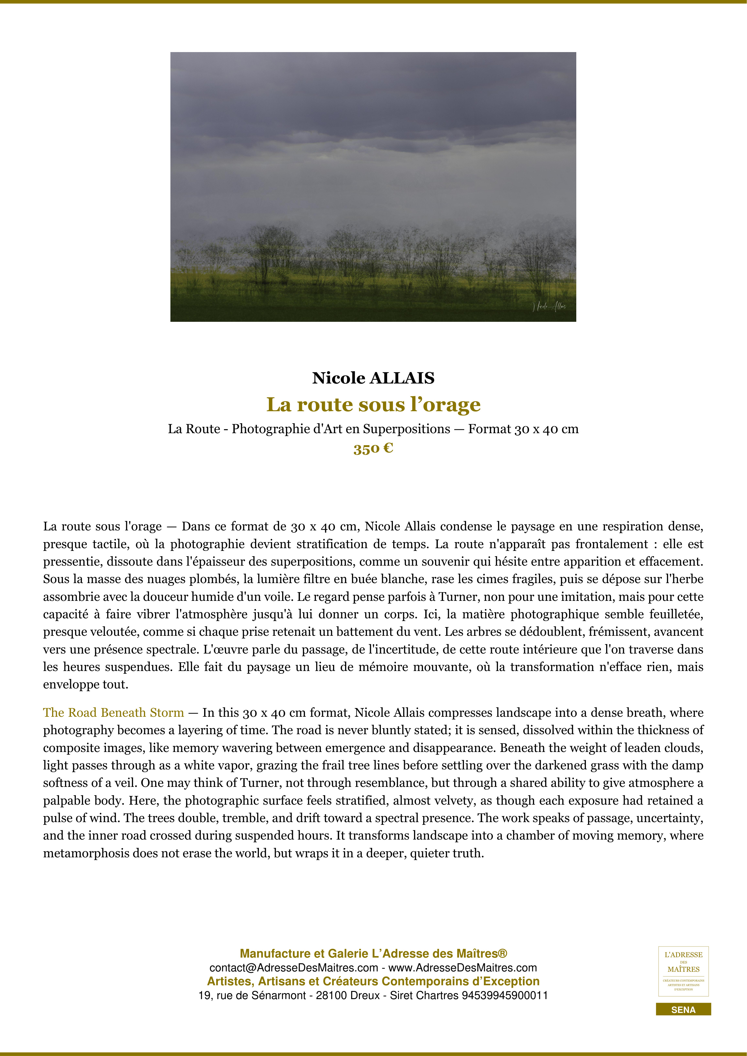 Fiche Premium — La route sous l’orage — Nicole ALLAIS — L'Adresse des Maîtres®