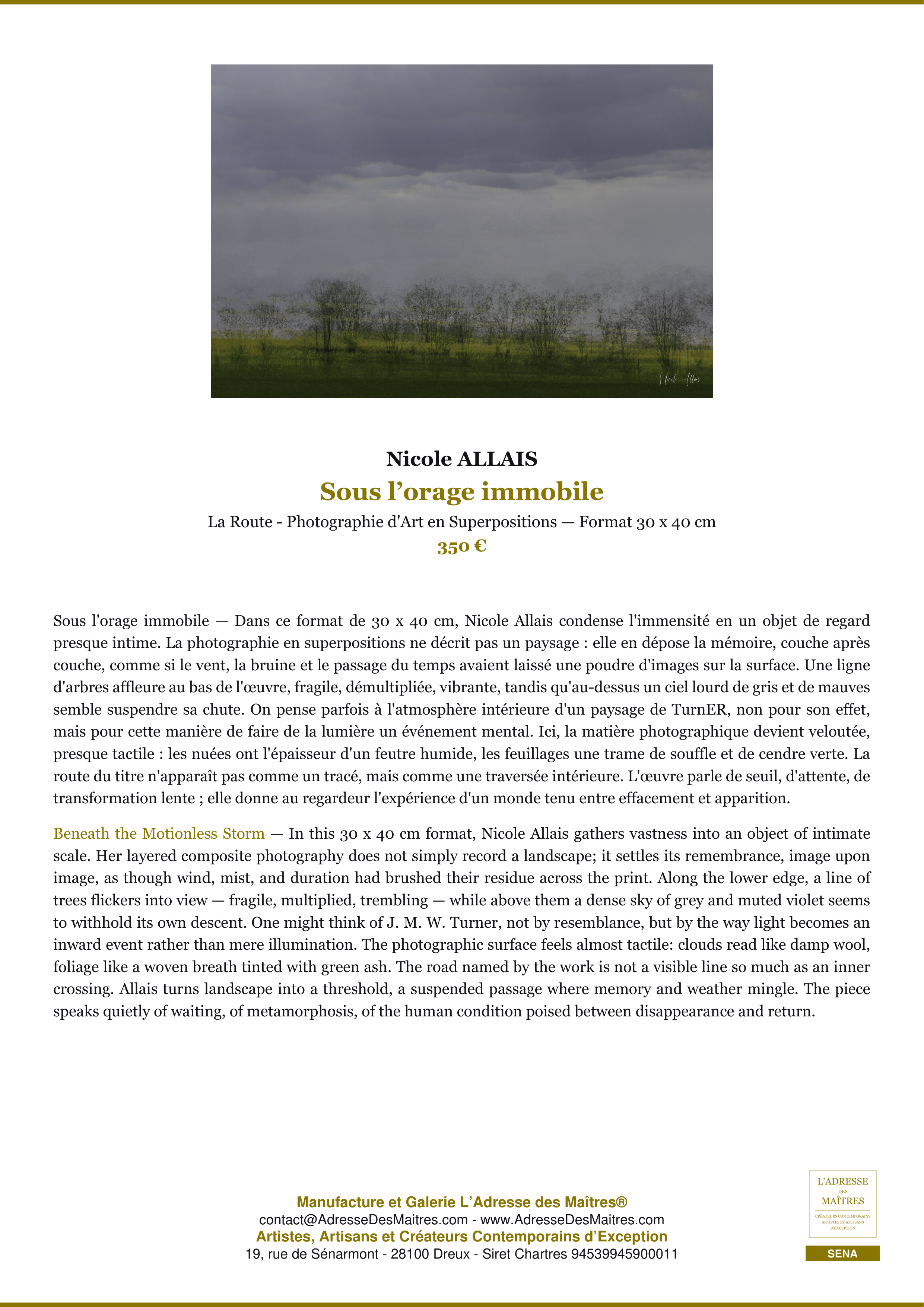 Fiche Premium — Sous l’orage immobile — Nicole ALLAIS — L'Adresse des Maîtres®