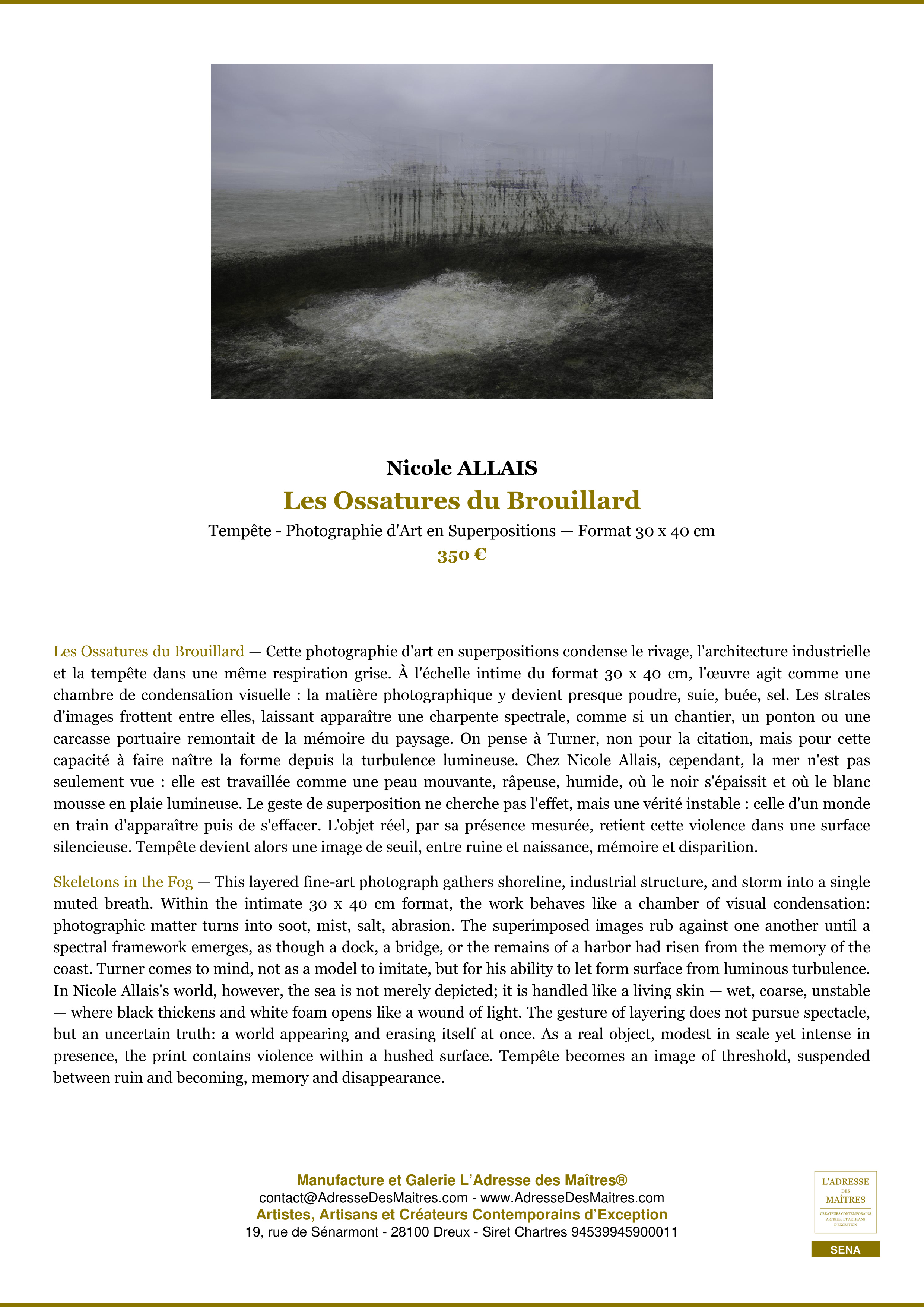Fiche Premium — Les Ossatures du Brouillard — Nicole ALLAIS — L'Adresse des Maîtres®