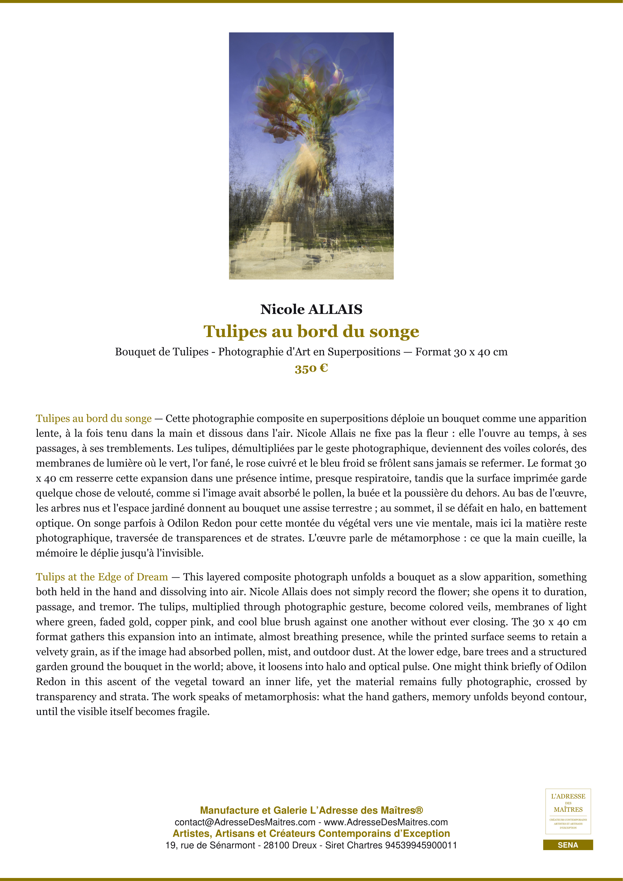 Fiche Premium — Tulipes au bord du songe — Nicole ALLAIS — L'Adresse des Maîtres®