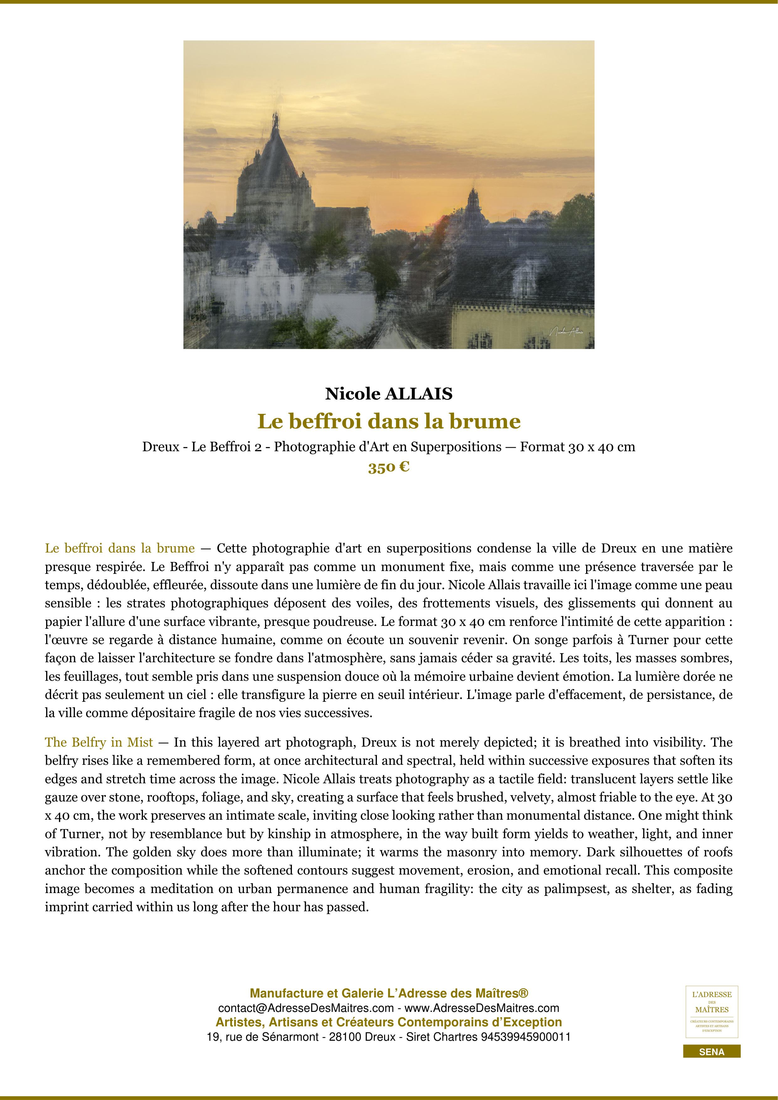 Fiche Premium — Le beffroi dans la brume — Nicole ALLAIS — L'Adresse des Maîtres®