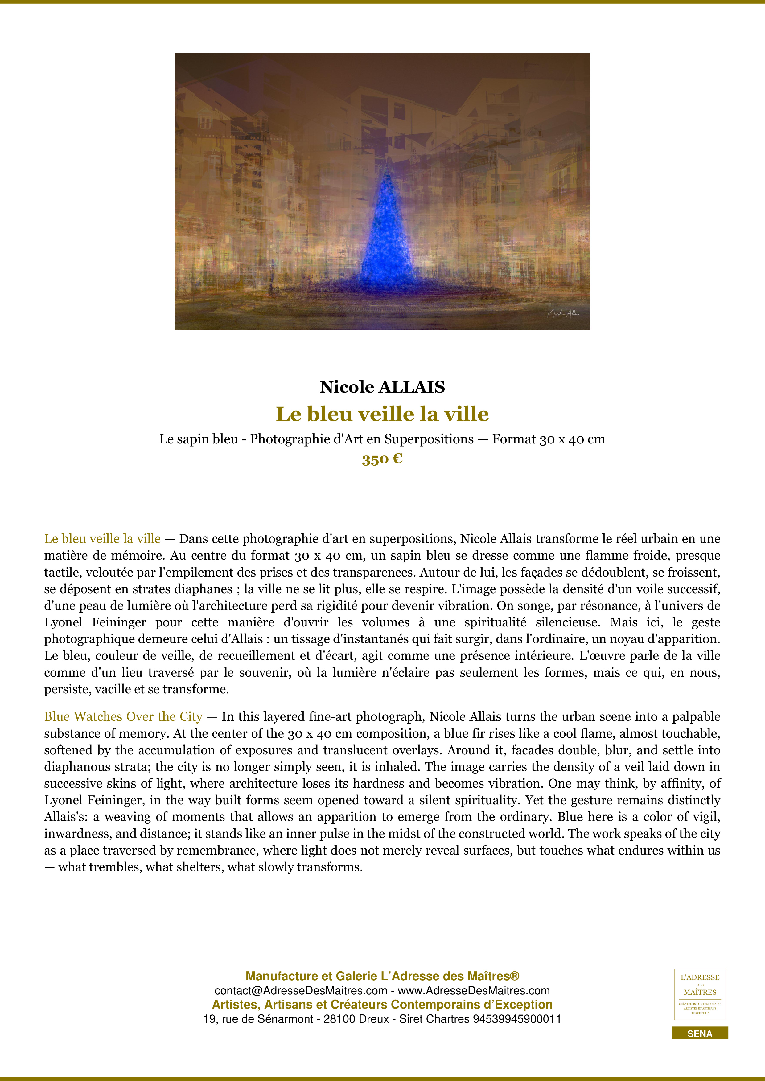 Fiche Premium — Le bleu veille la ville — Nicole ALLAIS — L'Adresse des Maîtres®