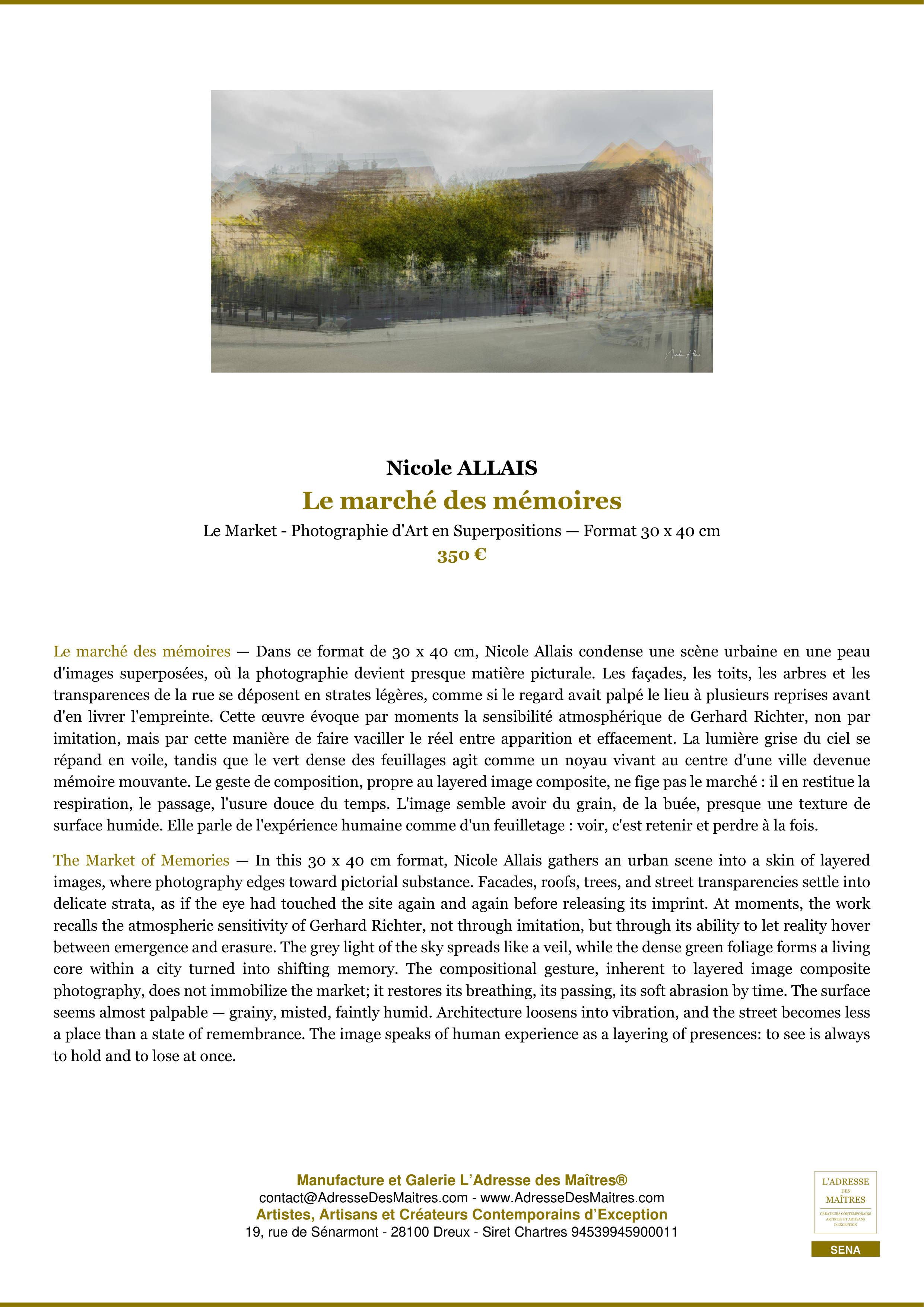 Fiche Premium — Le marché des mémoires — Nicole ALLAIS — L'Adresse des Maîtres®