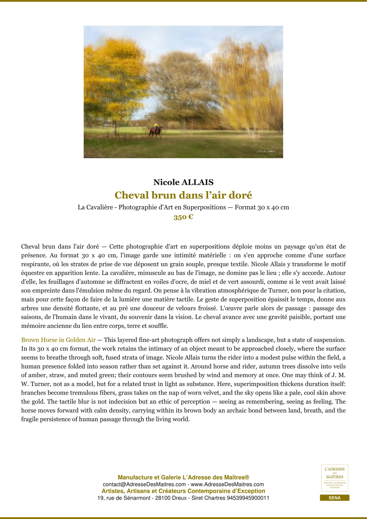 Fiche Premium — Cheval brun dans l’air doré — Nicole ALLAIS — L'Adresse des Maîtres®