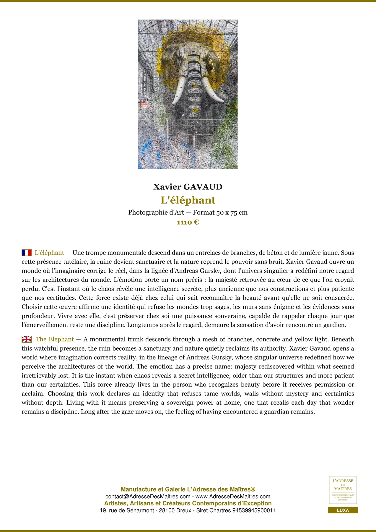 Fiche Premium - L'éléphant - Xavier GAVAUD - L'Adresse des Maîtres®