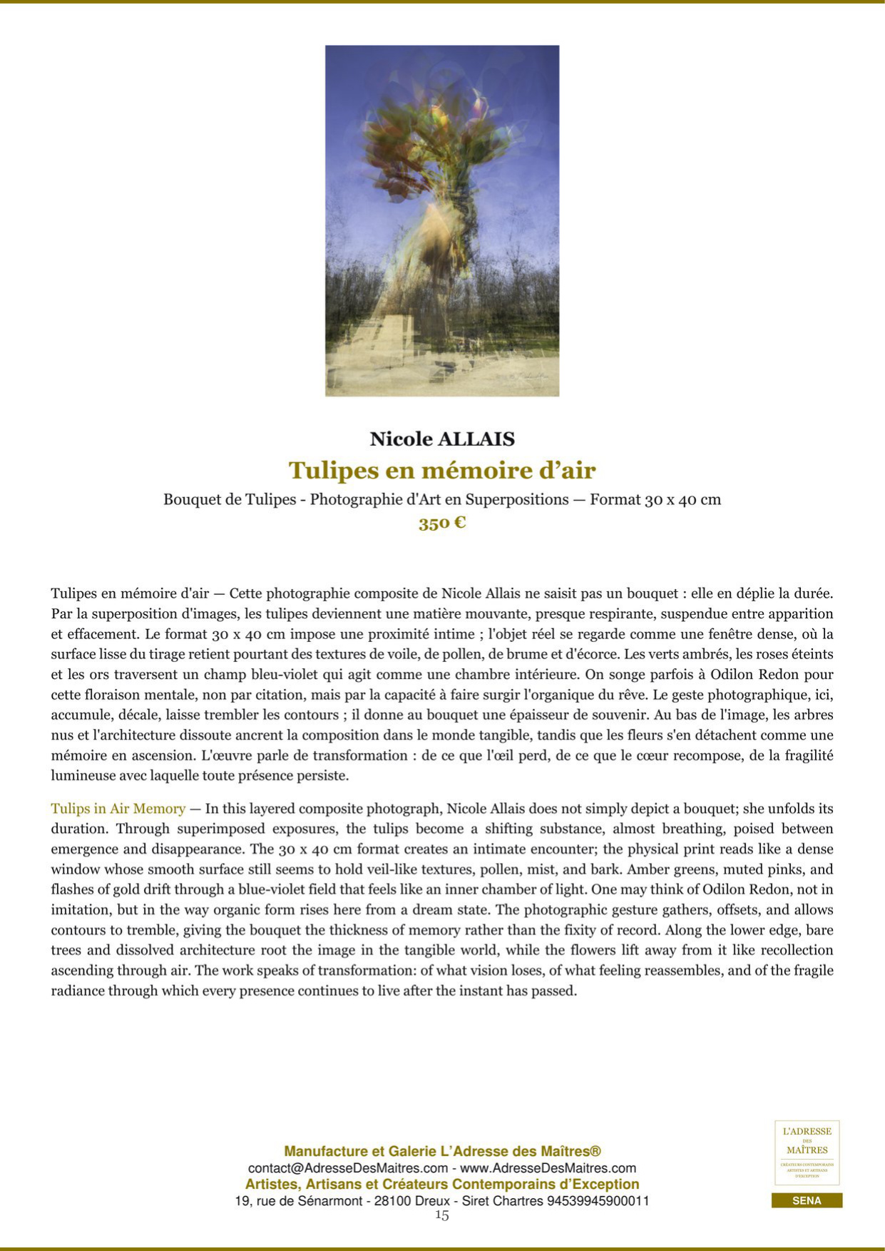 Rapport d’Analyse et de Recommandations pour Artistes