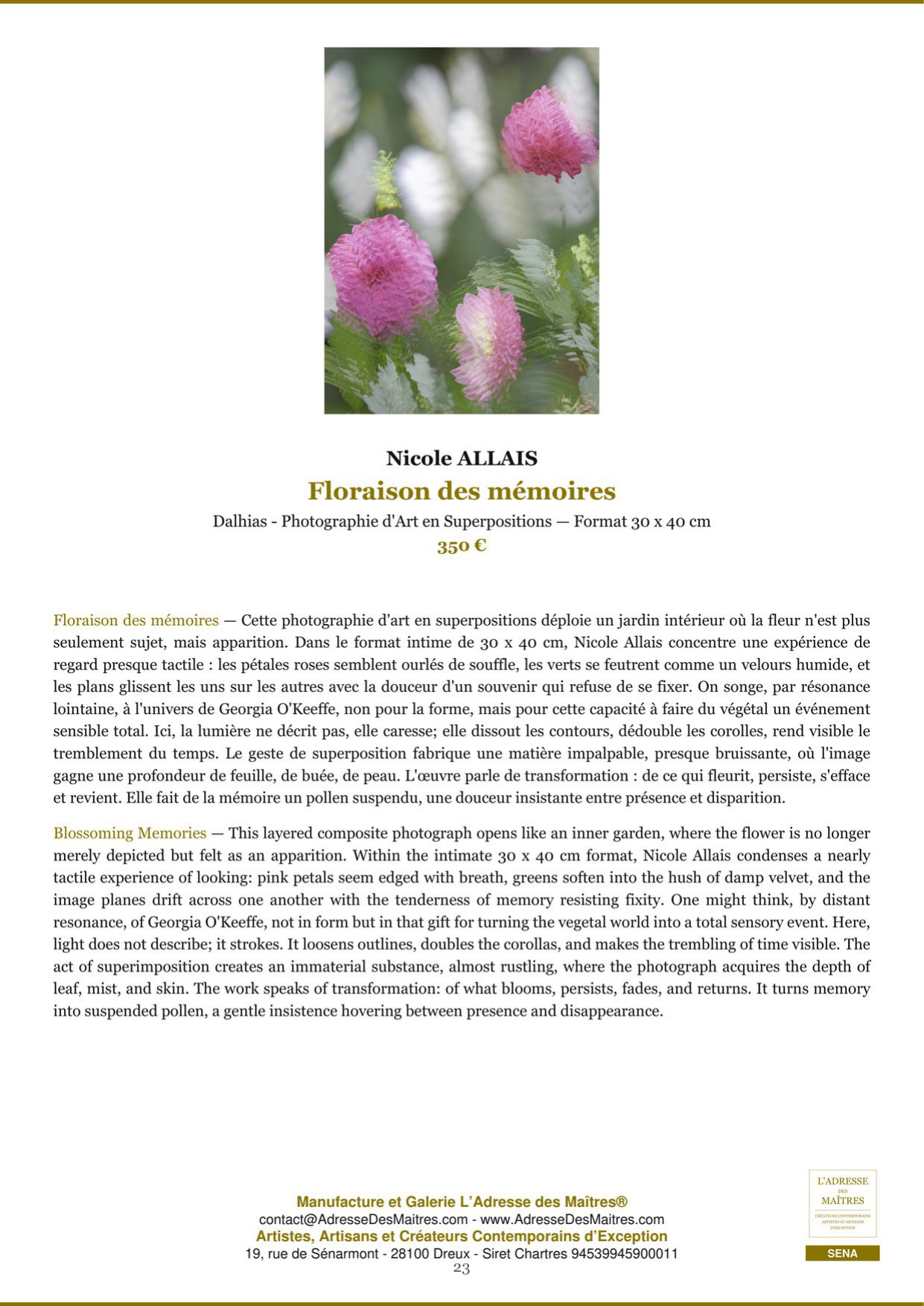 Rapport d’Analyse et de Recommandations pour Artistes