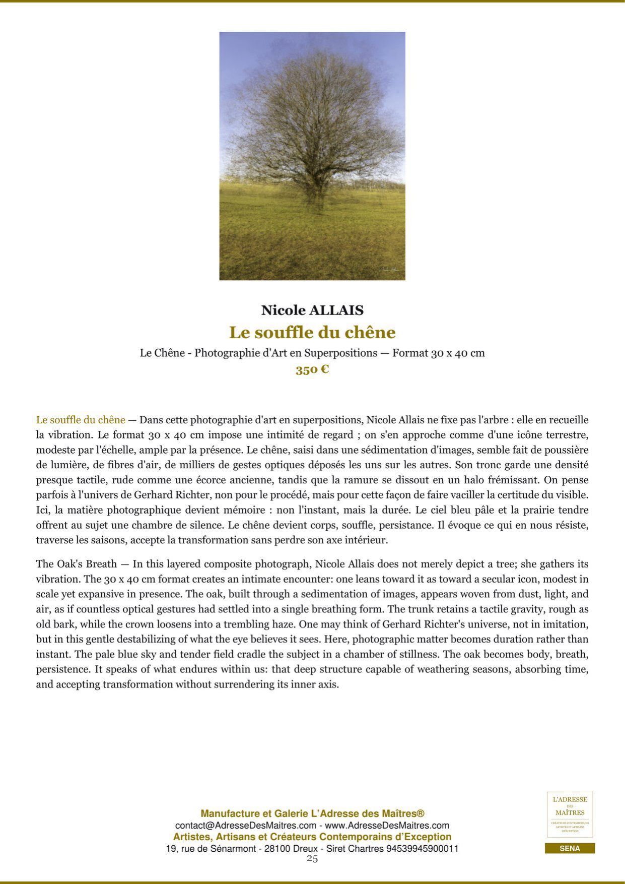 Rapport d’Analyse et de Recommandations pour Artistes