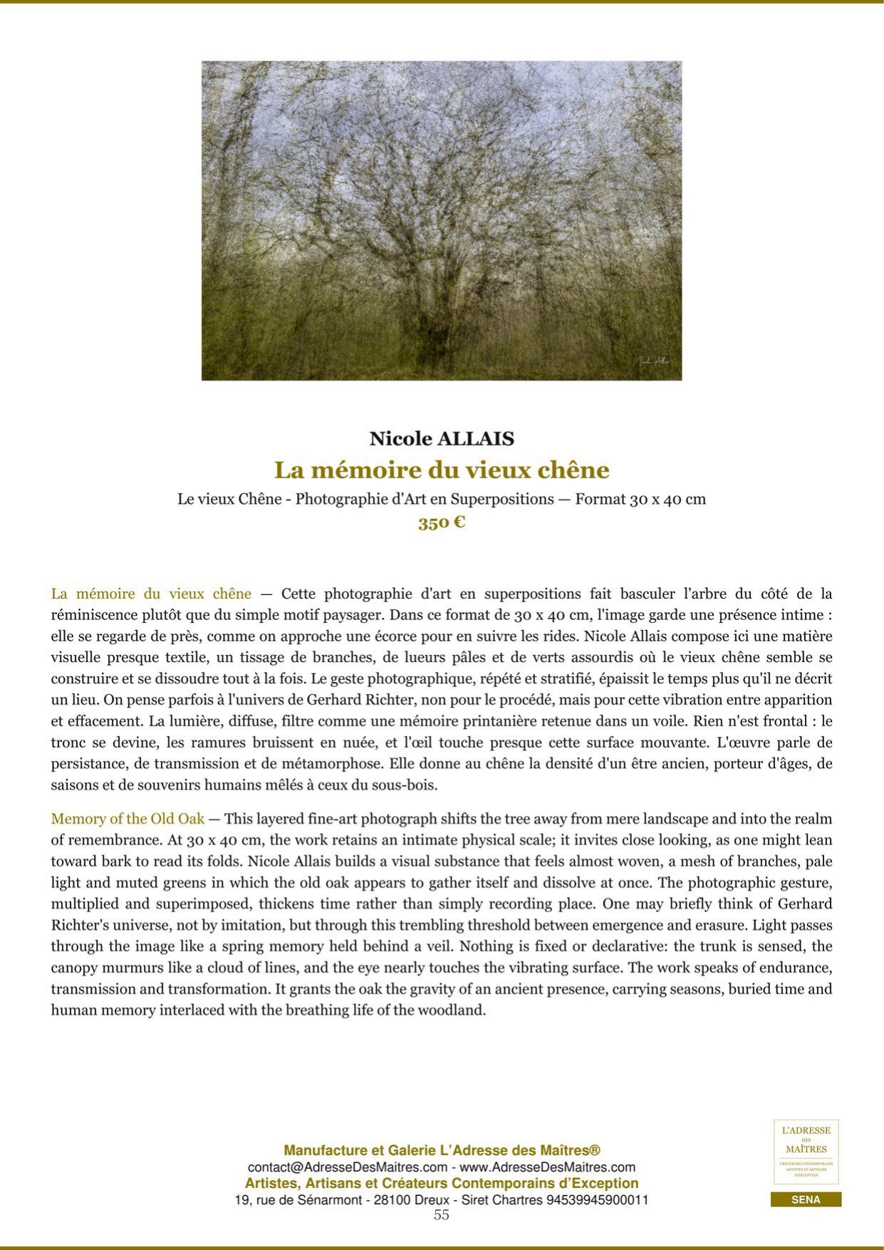 Rapport d’Analyse et de Recommandations pour Artistes