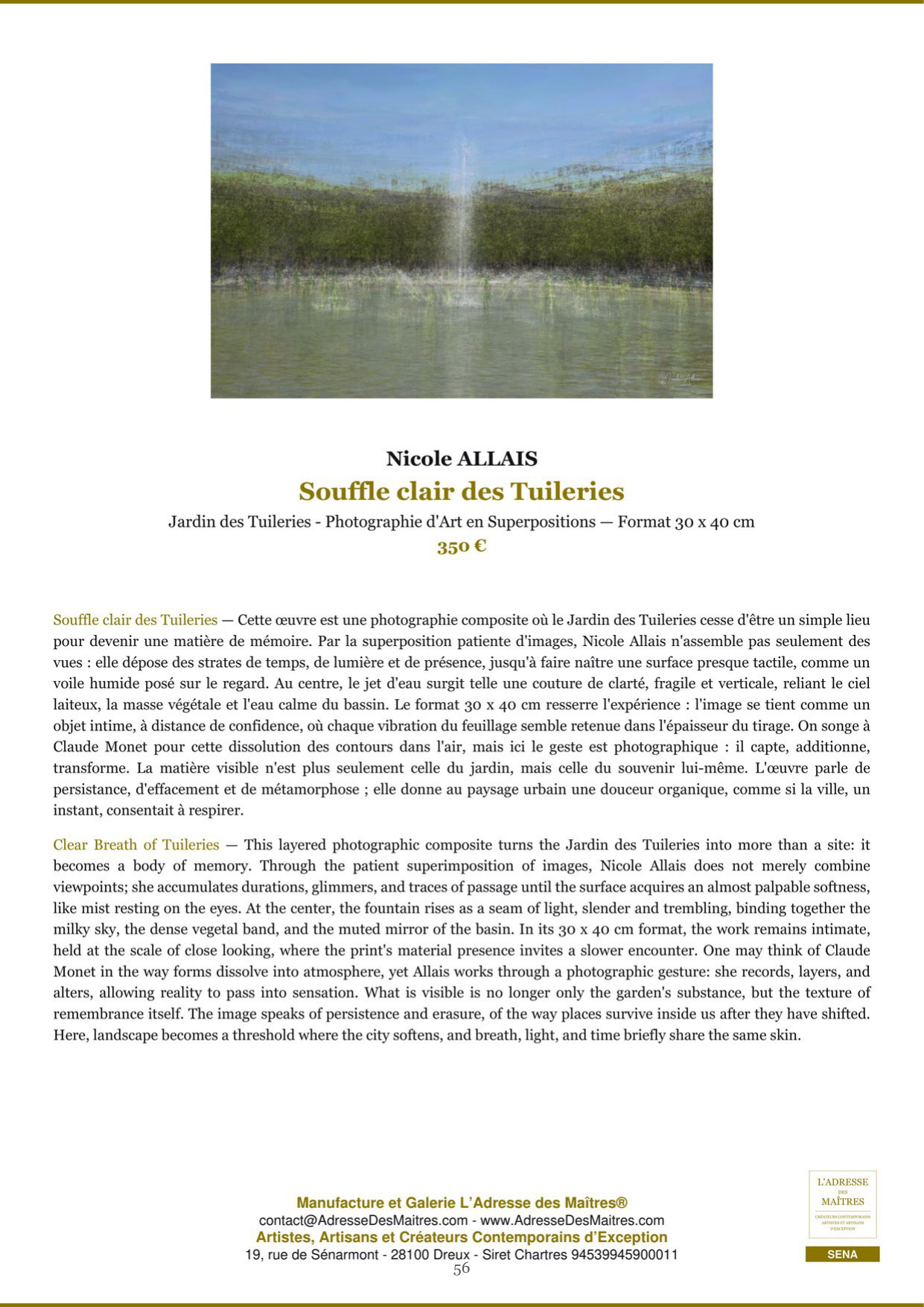 Rapport d’Analyse et de Recommandations pour Artistes