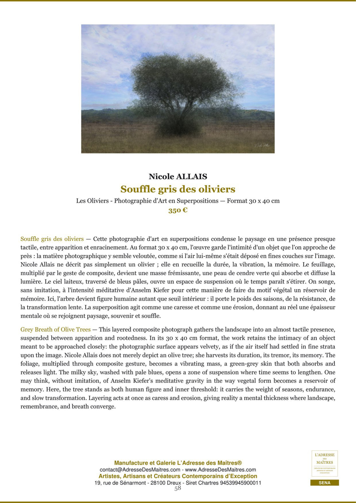 Rapport d’Analyse et de Recommandations pour Artistes